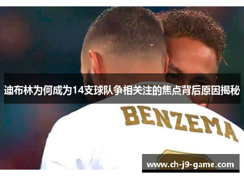 迪布林为何成为14支球队争相关注的焦点背后原因揭秘