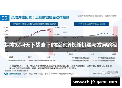 探索双羽天下战略下的经济增长新机遇与发展路径