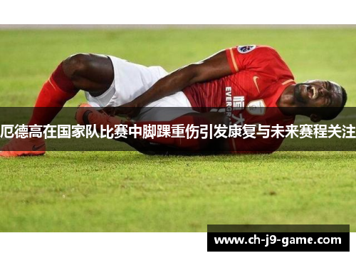 厄德高在国家队比赛中脚踝重伤引发康复与未来赛程关注